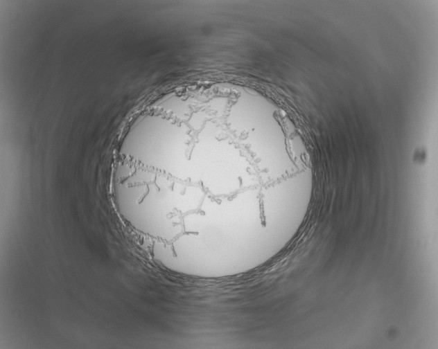 X0000116631057201001221356