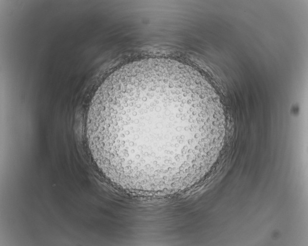 X0000116631058201001221356