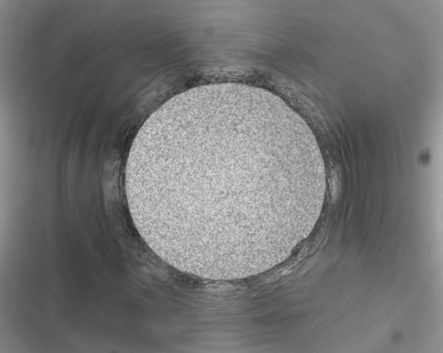 X0000116631059201001221356