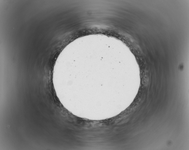 X0000116631061201001221356