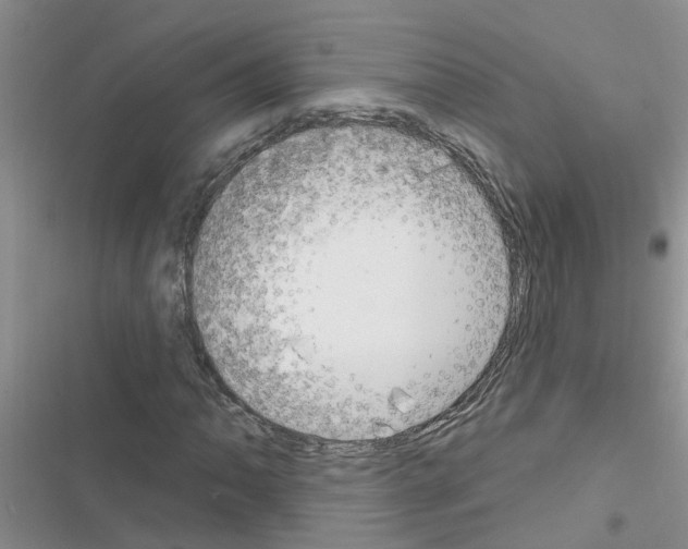 X0000116631062201001221356