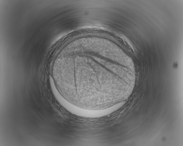 X0000116631064201001221356