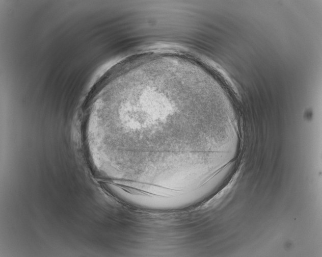 X0000116631066201001221356