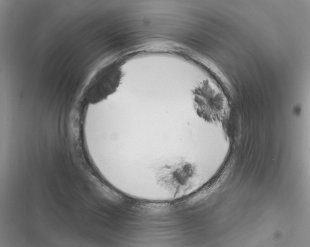 X0000116631067201001221356