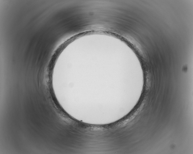 X0000116631070201001221356