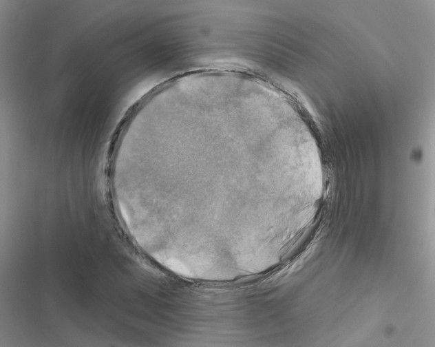 X0000116631071201001221356