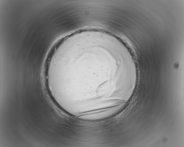 X0000116631072201001221356