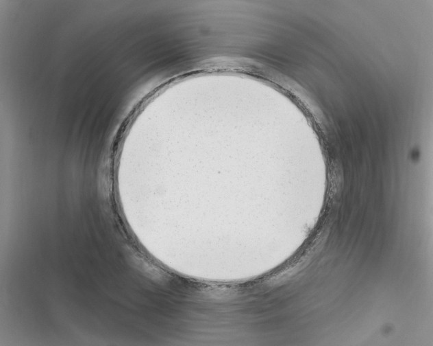 X0000116631075201001221356