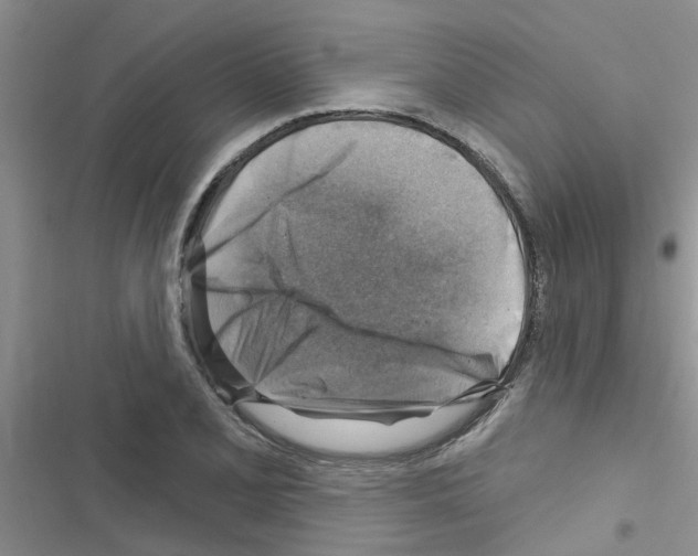 X0000116631077201001221356