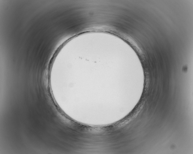 X0000116631079201001221356