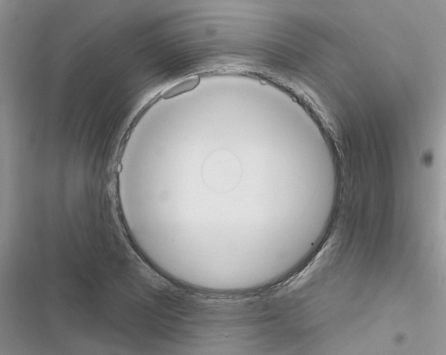 X0000116631081201001221356