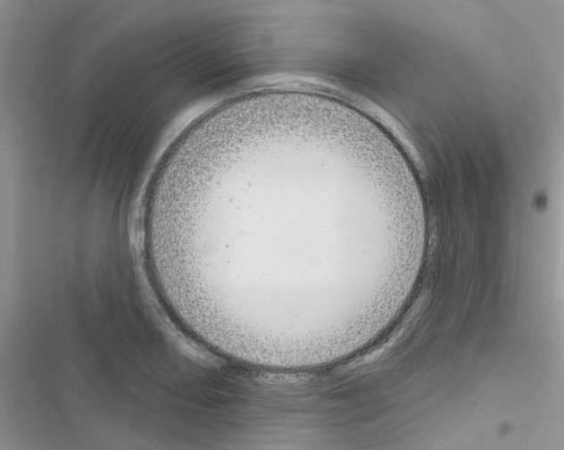 X0000116631082201001221356