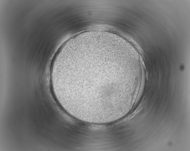 X0000116631083201001221356