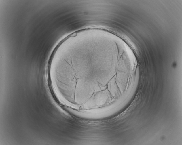 X0000116631084201001221356