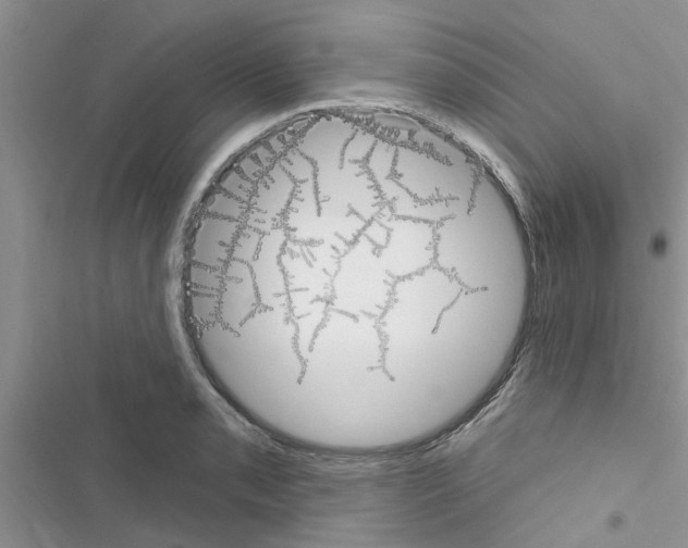 X0000116631085201001221356