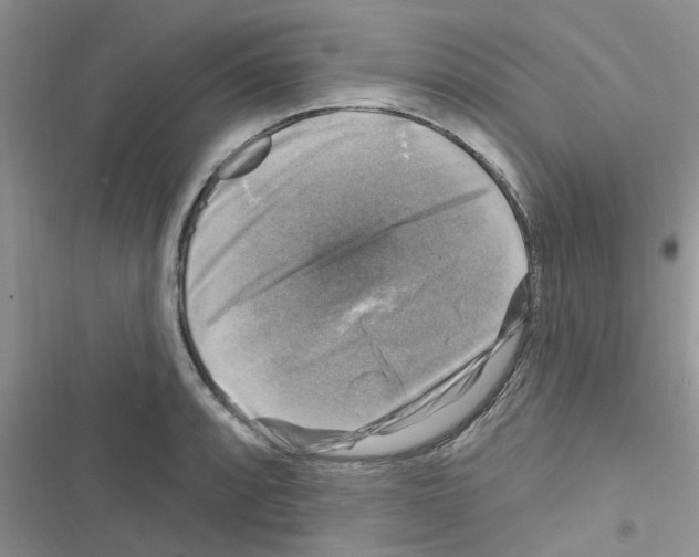 X0000116631088201001221355