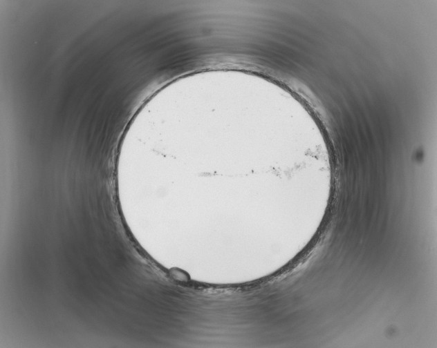 X0000116631089201001221355