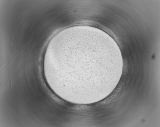X0000116631091201001221355