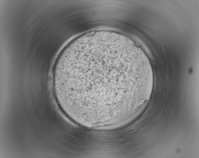 X0000116631092201001221355