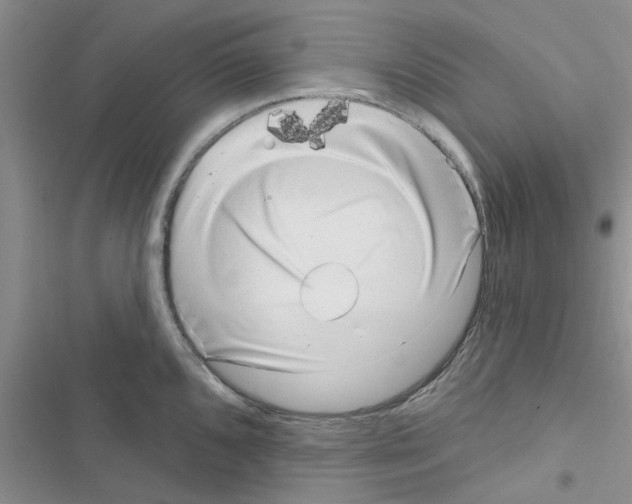 X0000116631096201001221355