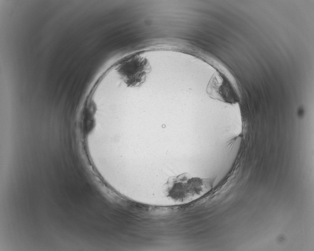 X0000116631099201001221355