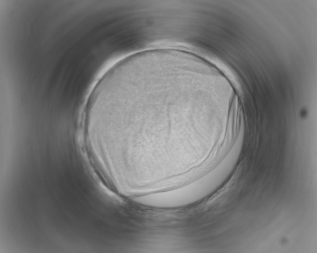 X0000116631102201001221355
