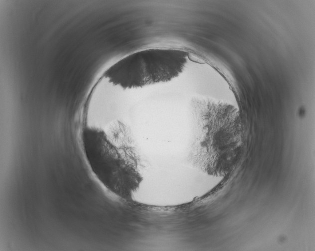 X0000116631103201001221355