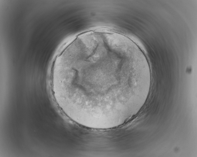 X0000116631104201001221355