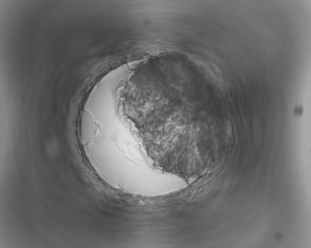 X0000116631105201001221355