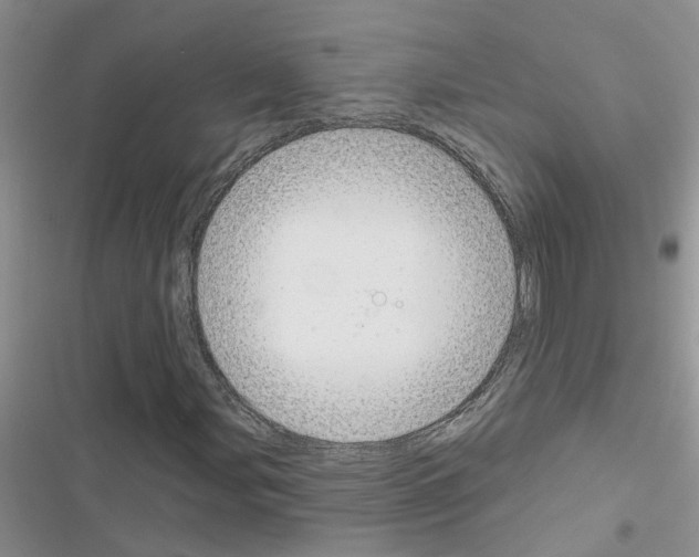 X0000116631107201001221355