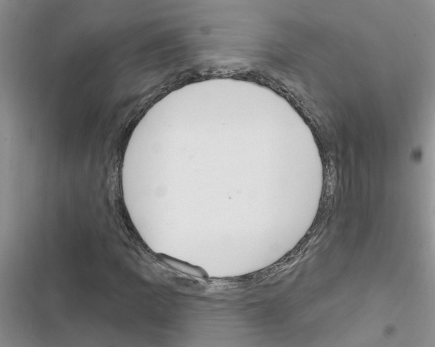 X0000116631109201001221355