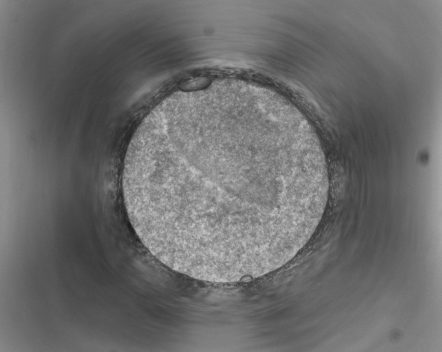 X0000116631110201001221355