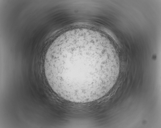 X0000116631111201001221355