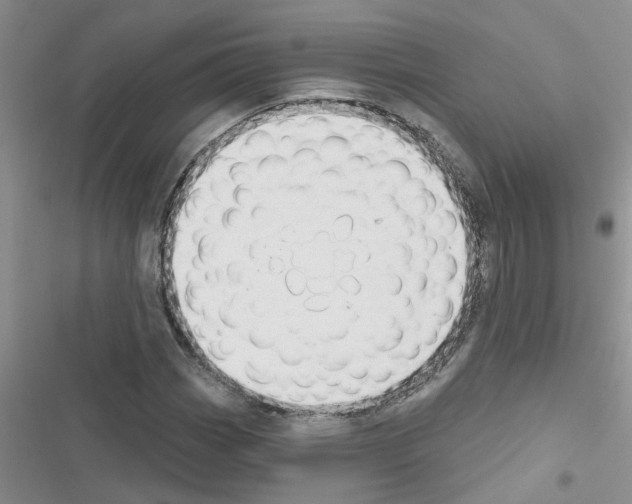 X0000116631113201001221355