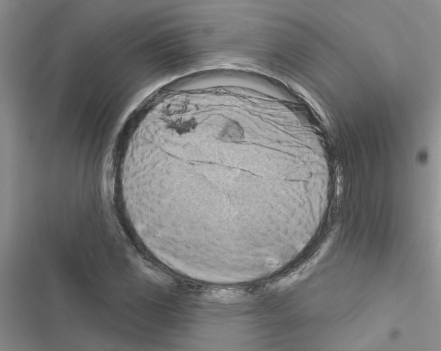 X0000116631117201001221355