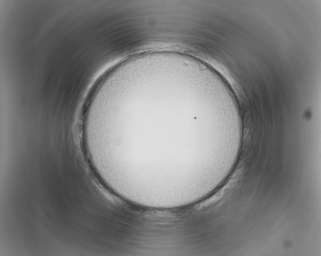 X0000116631119201001221355