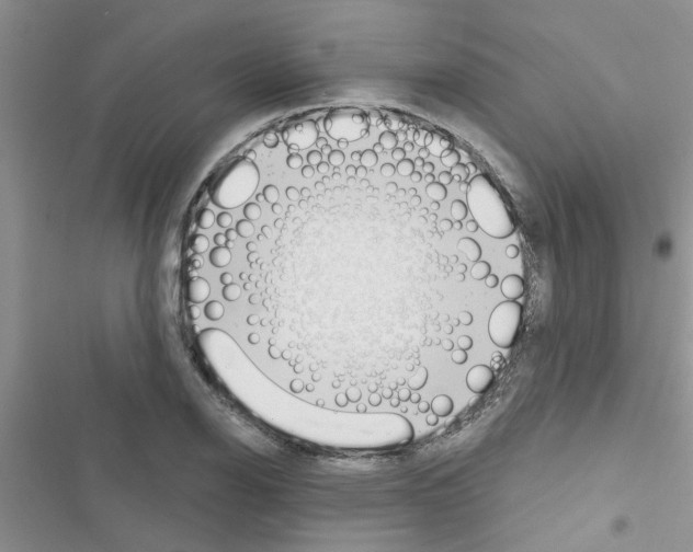 X0000116631126201001221355