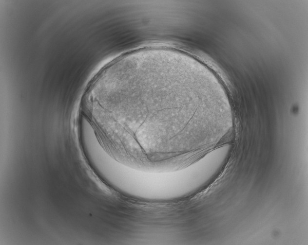 X0000116631127201001221355