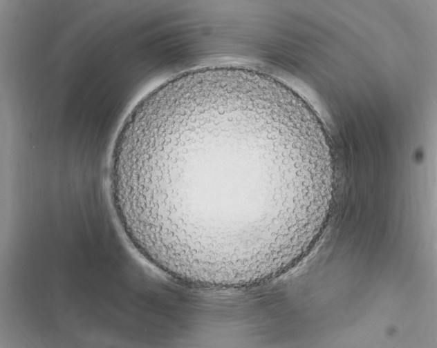 X0000116631135201001221355