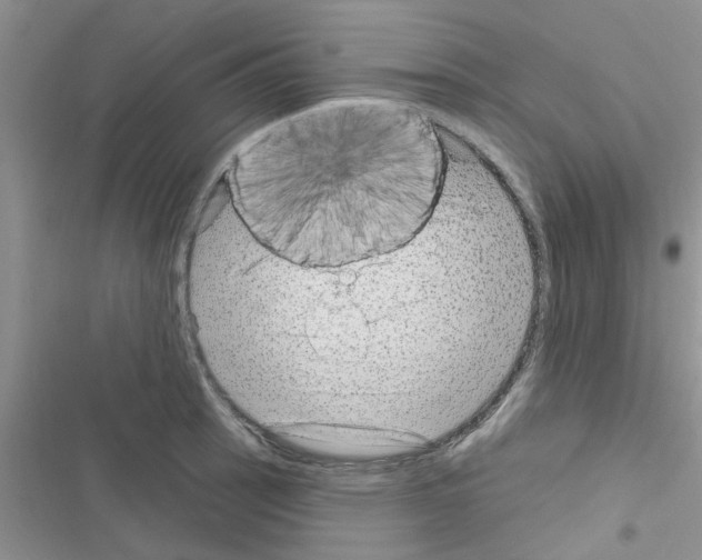 X0000116631137201001221355