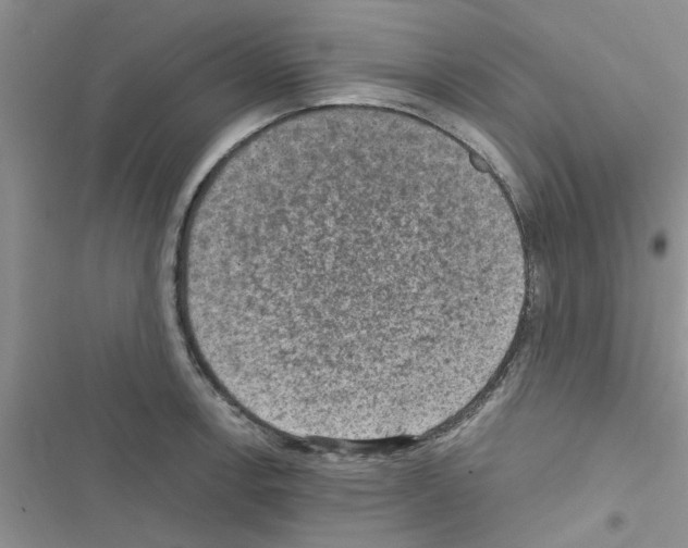 X0000116631138201001221355