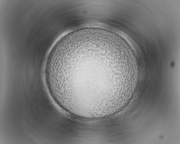 X0000116631139201001221355