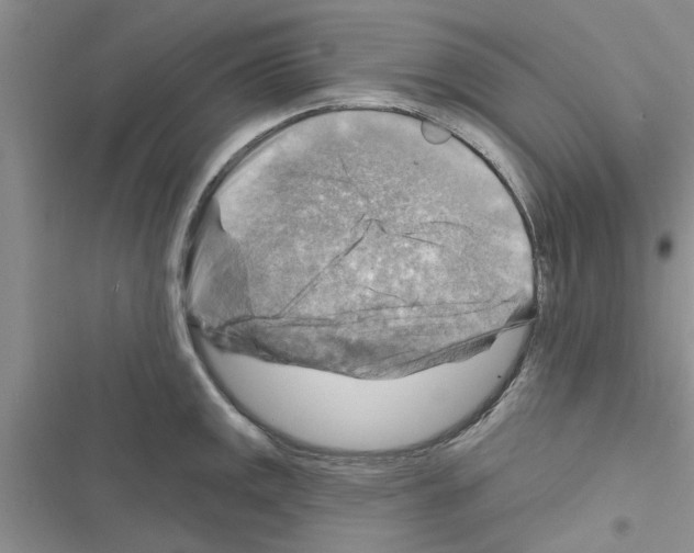 X0000116631141201001221355