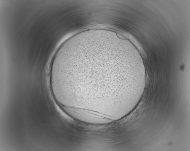 X0000116631143201001221355