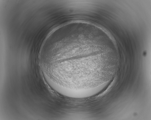 X0000116631145201001221355