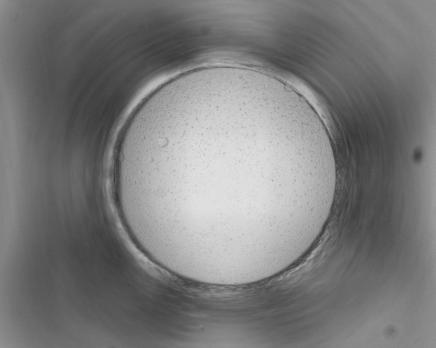 X0000116631147201001221355