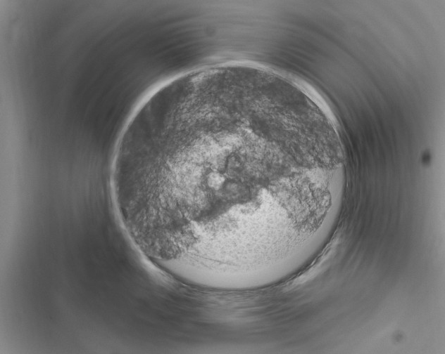 X0000116631149201001221355