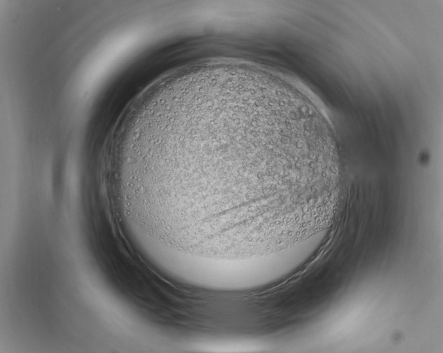 X0000116631151201001221355