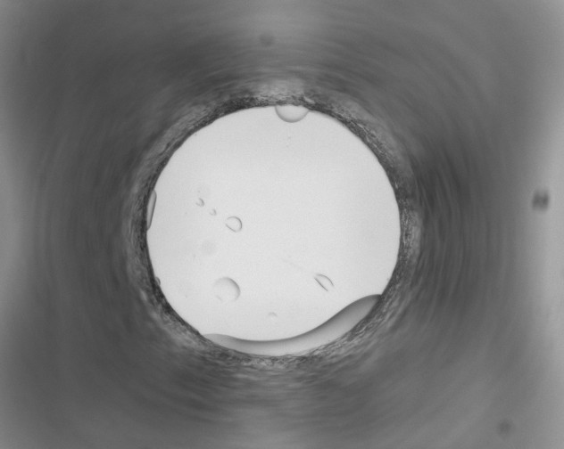 X0000116631153201001221355