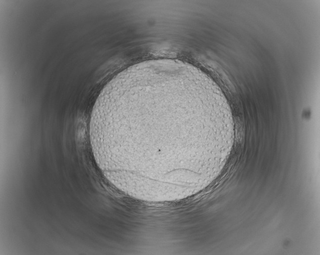 X0000116631154201001221355